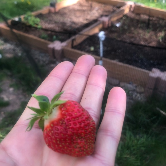 Meet your Posher, Dylan - Picture 1 of 1